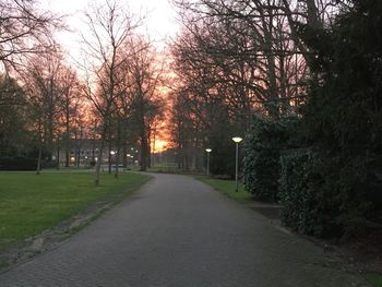 Empty road along trees