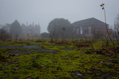 Trees on field by buildings against sky