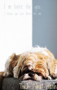 Close-up of a dog sleeping