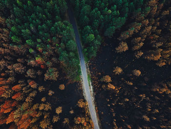 High angle view of waterfall in forest