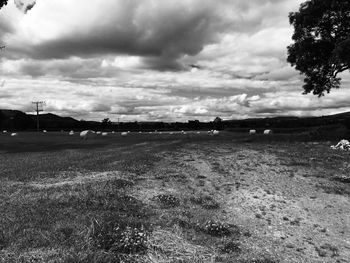 Scenic view of field against sky