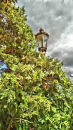 Low angle view of street light against sky