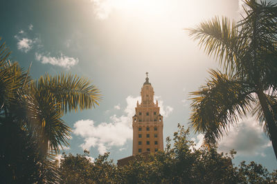 Low angle view of palm trees against sky