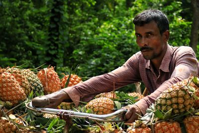 Farmer carrying pineapple to local market 
