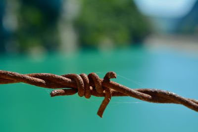 Close-up of rope tied to metal fence