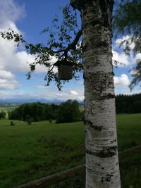 Trees on landscape against sky