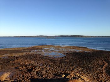 Scenic view of beach against clear blue sky