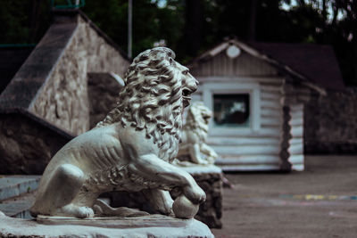 Lion statue against building