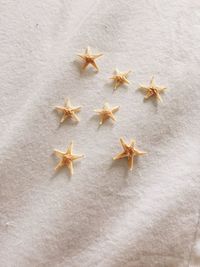 High angle view of starfishes on sand