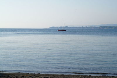 Sailboats on sea against clear sky