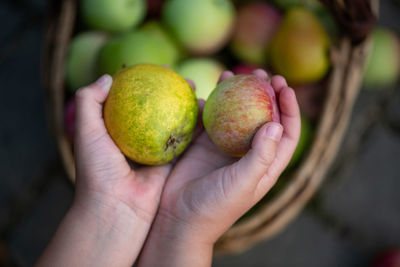 Close-up of hand holding fruits