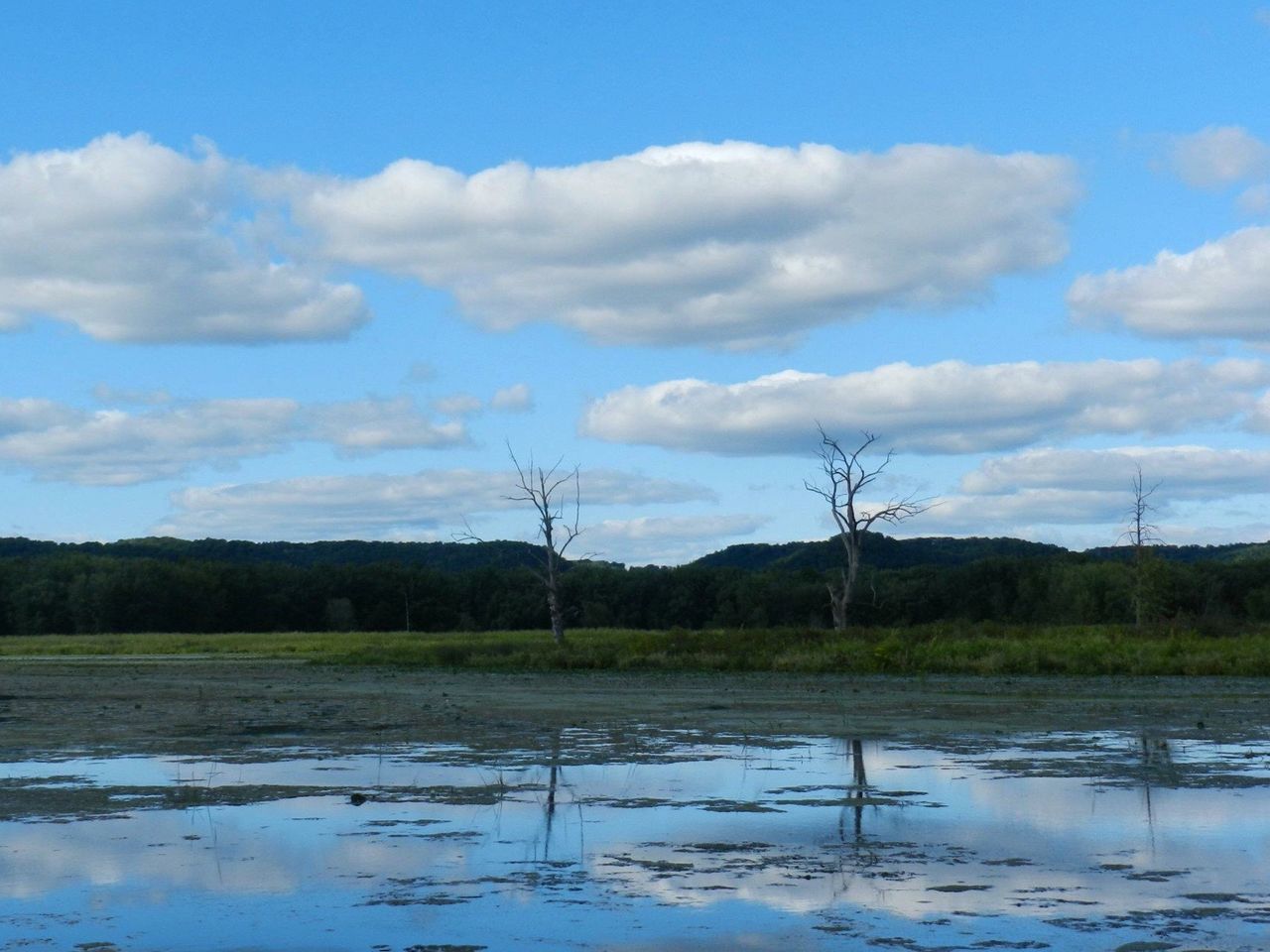 Muscoda, Wisconsin