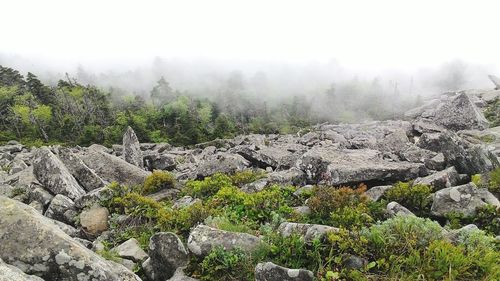 Scenic view of mountain against cloudy sky