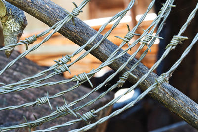 Close-up of hand