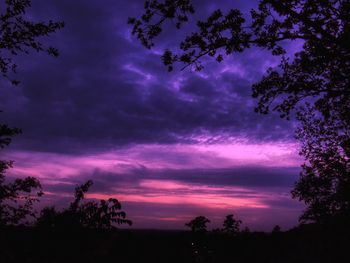 Low angle view of silhouette trees against sky at sunset