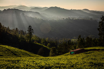 Scenic view of field against mountains