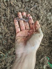 Close-up of hand on mud land