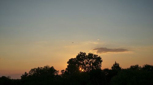 Silhouette of trees at sunset