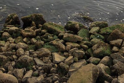 High angle view of pebble beach