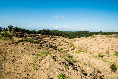 Scenic view of land against sky