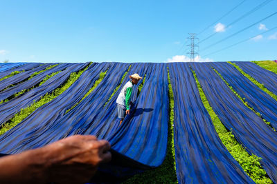 Man drying blue fabrics on grassy field against blue sky during sunny day