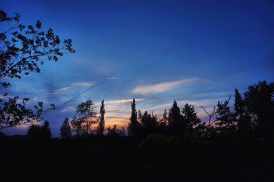 Silhouette of trees against sky at sunset