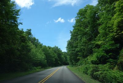 Empty road amidst trees against sky