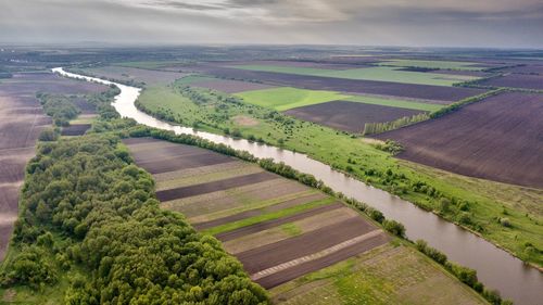 Scenic view of agricultural field