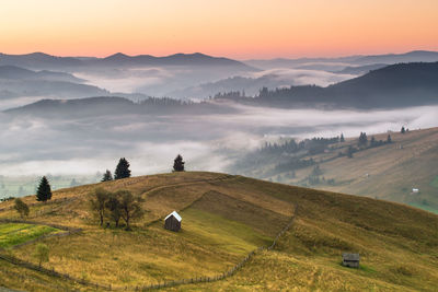 Scenic view of agricultural field against sky during sunset