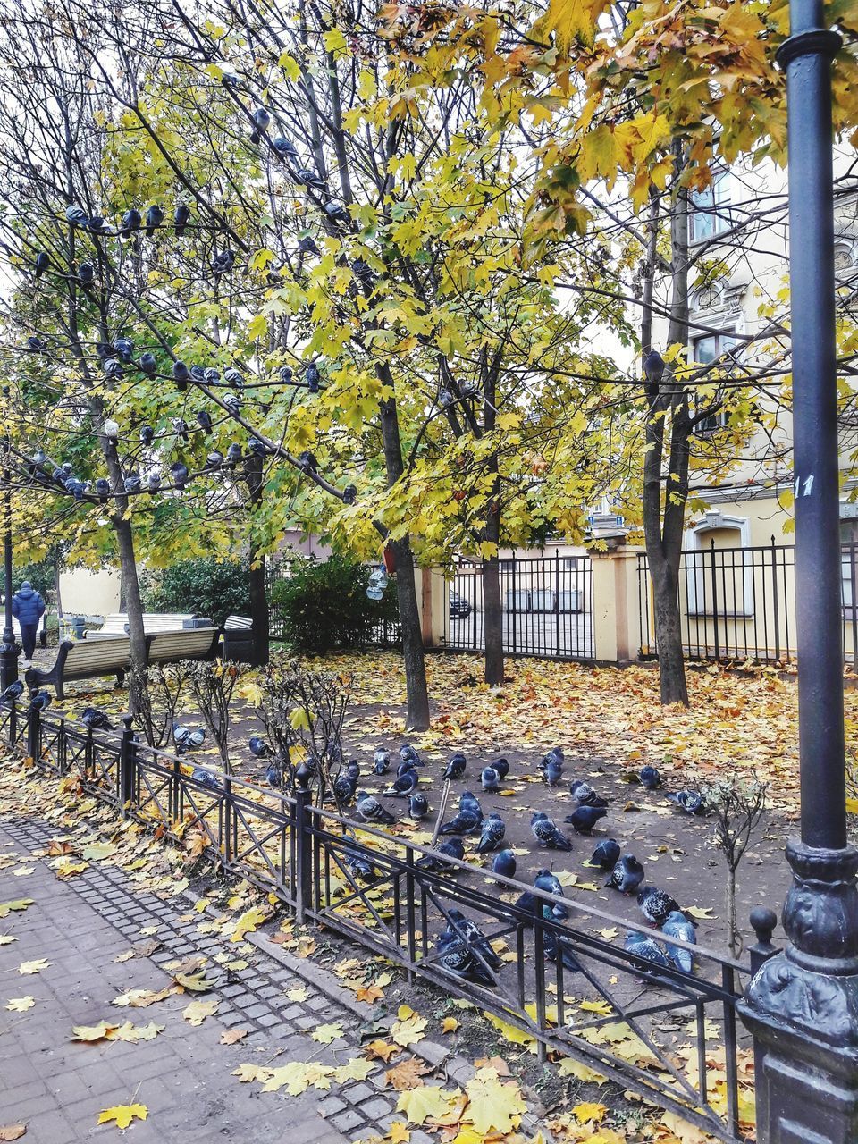 TABLE AND CHAIRS BY TREES