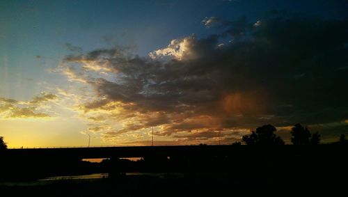 Silhouette of trees at sunset