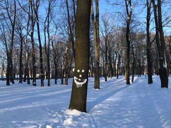 Bare trees on snow covered field during winter