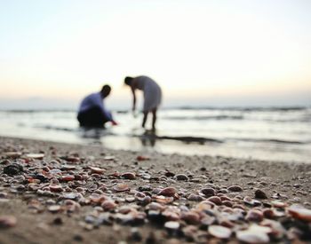 People on beach against clear sky during sunset