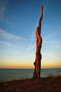 Statue of sea against sky during sunset