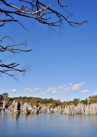 Scenic view of bare trees against blue sky