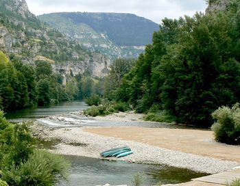 Scenic view of river amidst trees