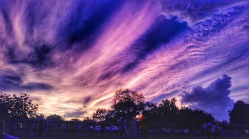 Silhouette trees against cloudy sky at sunset