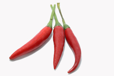 Close-up of chili peppers against white background