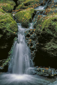 Waterfall amidst moss covered rocks