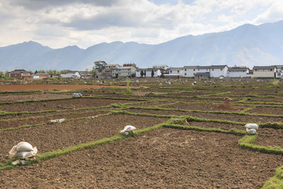 Scenic view of mountain range