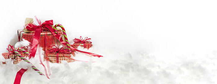 Close-up of red flowering plant in snow