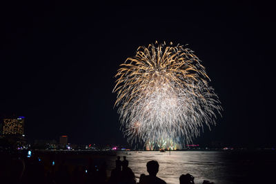 Firework display at night