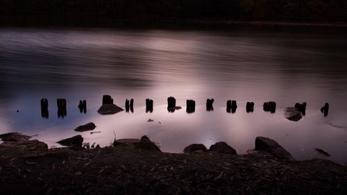 Reflection of trees in water