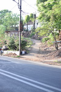 Road by trees in city