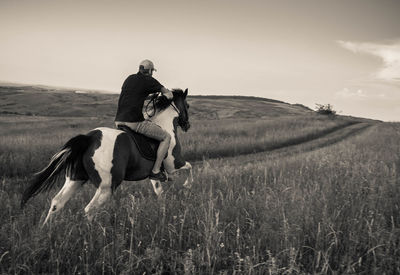 Man riding horse on field