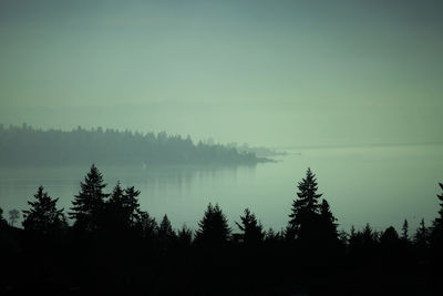 Scenic view of lake in forest against sky