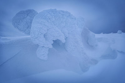 Snow covered landscape against sky