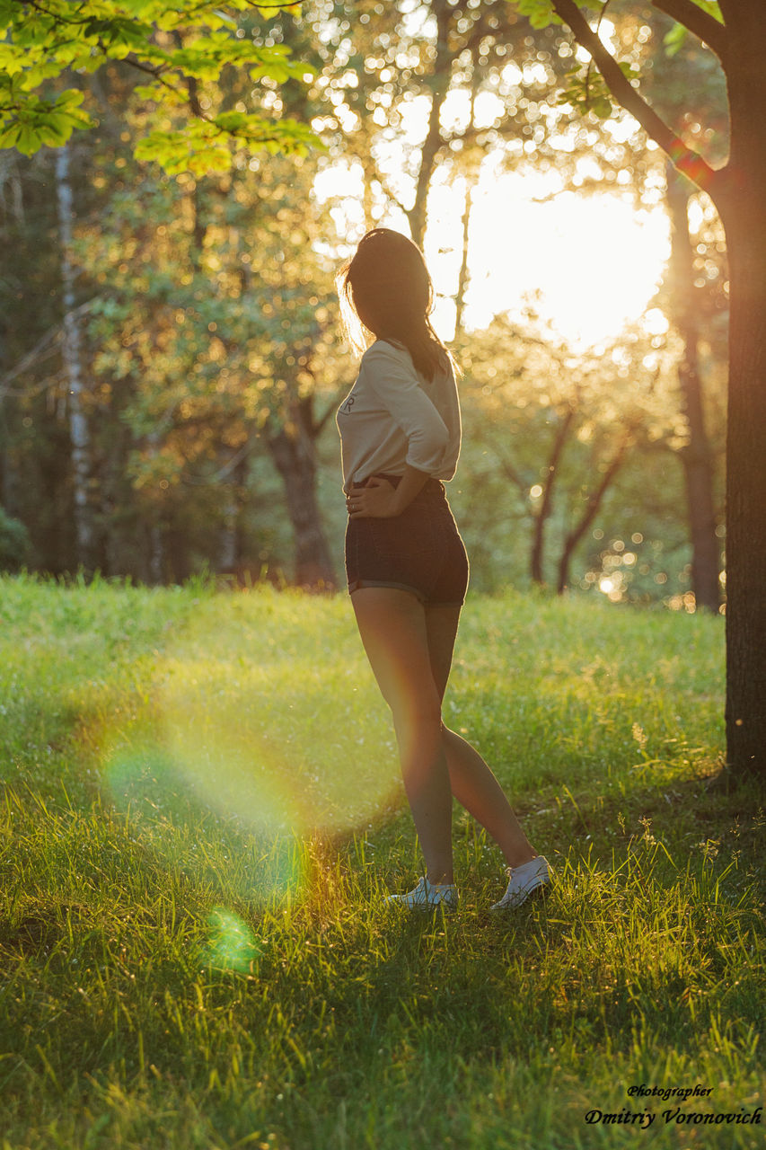 FULL LENGTH REAR VIEW OF WOMAN IN FOREST