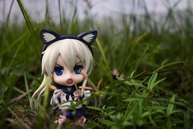 grass, focus on foreground, field, close-up, grassy, toy, green color, animal themes, looking at camera, portrait, animal representation, one animal, selective focus, nature, day, growth, plant, no people, outdoors, childhood