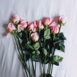 Close-up of pink roses in vase